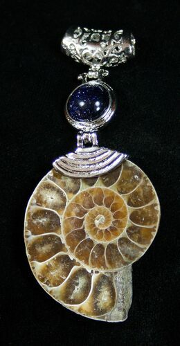 Polished Ammonite Pendant #1866